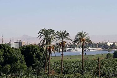 Hotel Nile Panorama Luxor: Photo 