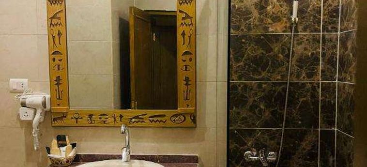 Jewel Howard Carter Hotel Luxor: Foto 
