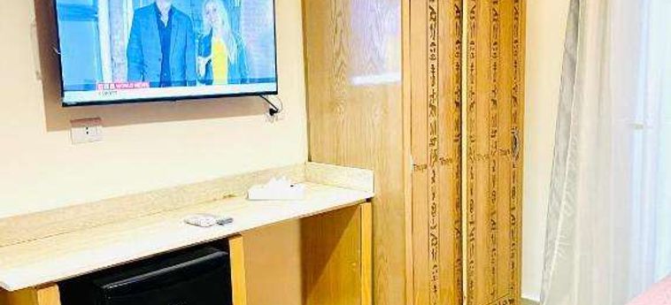 Jewel Howard Carter Hotel Luxor: Foto 