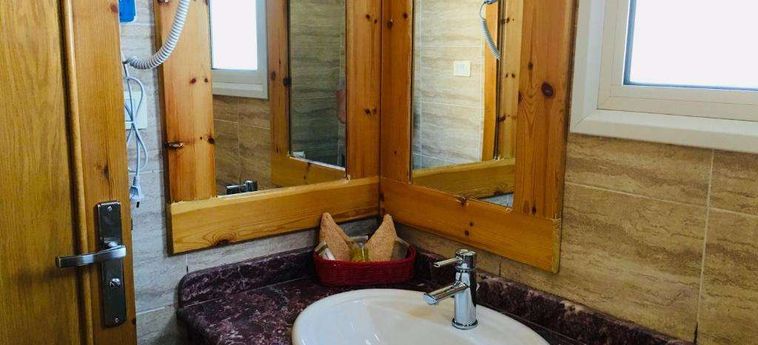 Jewel Howard Carter Hotel Luxor: Foto 