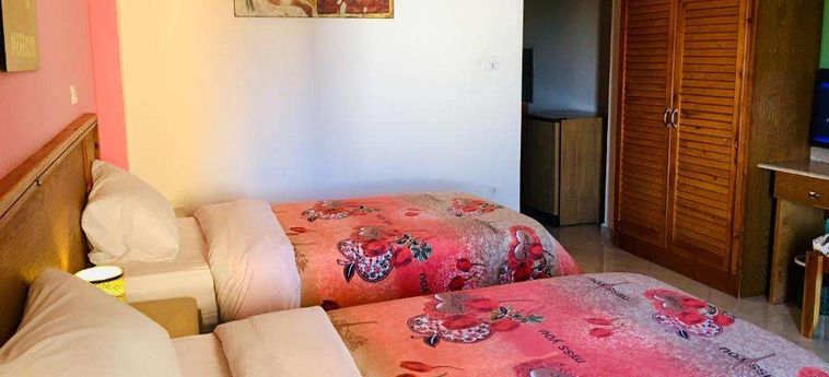 Jewel Howard Carter Hotel Luxor: Foto 
