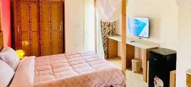 Jewel Howard Carter Hotel Luxor: Foto 