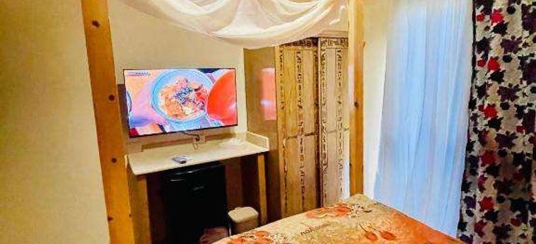 Jewel Howard Carter Hotel Luxor: Foto 