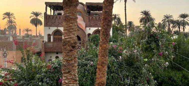 Jewel Howard Carter Hotel Luxor: Foto 
