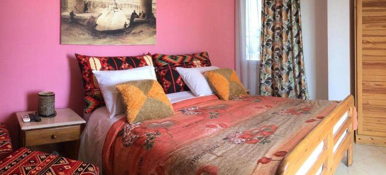 Jewel Howard Carter Hotel Luxor: Foto 