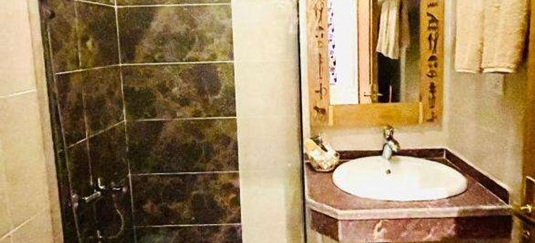 Jewel Howard Carter Hotel Luxor: Foto 