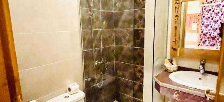 Jewel Howard Carter Hotel Luxor: Foto 