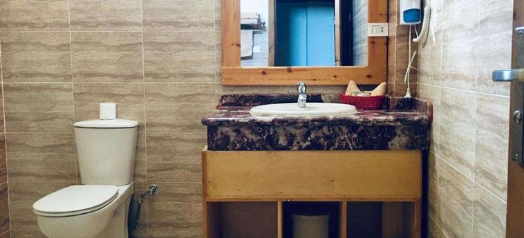 Jewel Howard Carter Hotel Luxor: Foto 