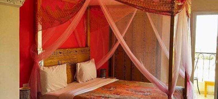 Jewel Howard Carter Hotel Luxor: Foto 