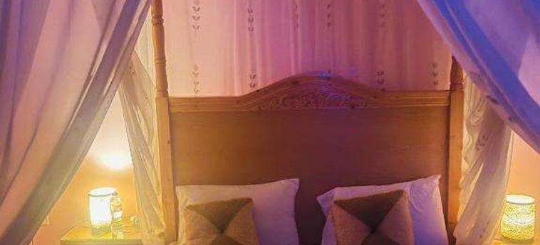 Jewel Howard Carter Hotel Luxor: Foto 