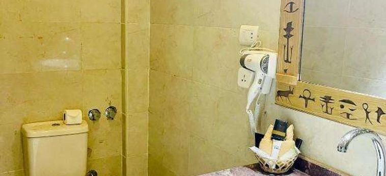 Jewel Howard Carter Hotel Luxor: Foto 