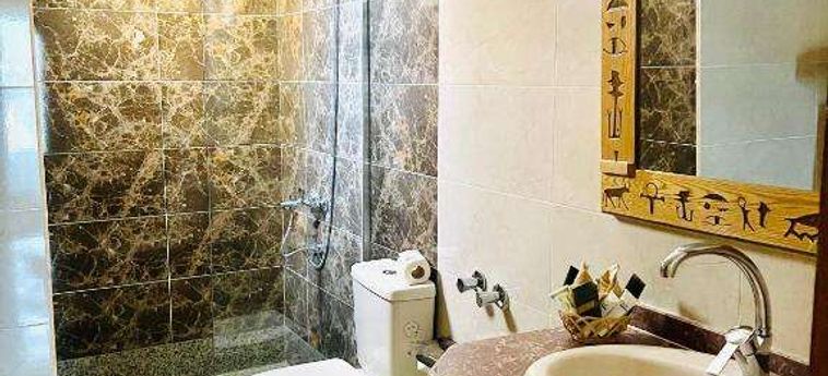 Jewel Howard Carter Hotel Luxor: Foto 