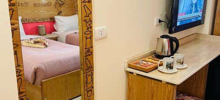 Jewel Howard Carter Hotel Luxor: Foto 