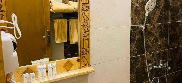 Jewel Howard Carter Hotel Luxor: Foto 
