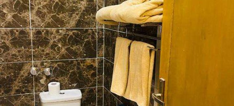 Jewel Howard Carter Hotel Luxor: Foto 