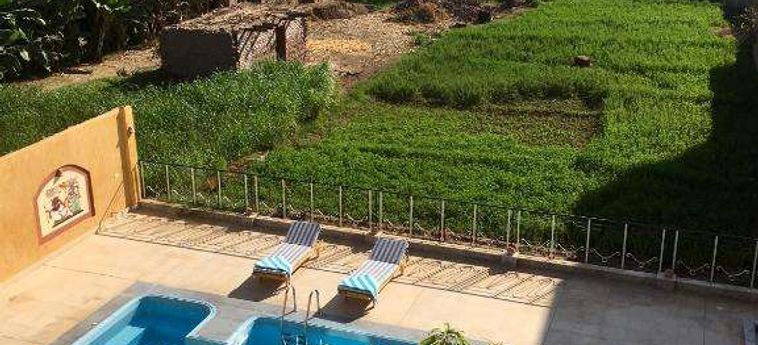 Jewel Howard Carter Hotel Luxor: Foto 