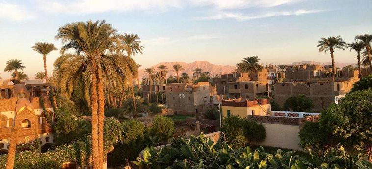 Jewel Howard Carter Hotel Luxor: Foto 