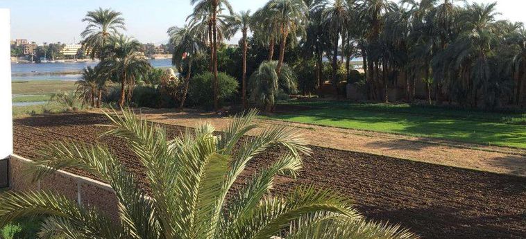 Jewel Howard Carter Hotel Luxor: Foto 