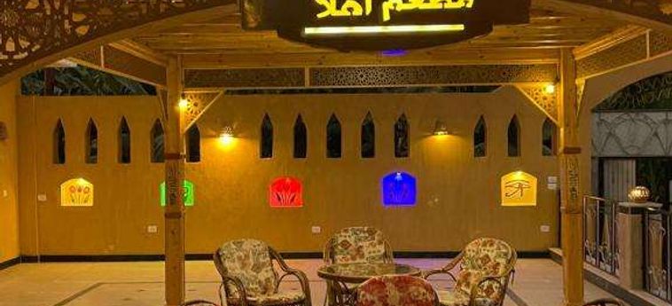 Jewel Howard Carter Hotel Luxor: Foto 