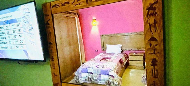 Jewel Howard Carter Hotel Luxor: Foto 