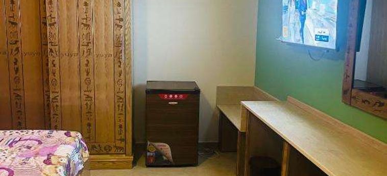 Jewel Howard Carter Hotel Luxor: Foto 