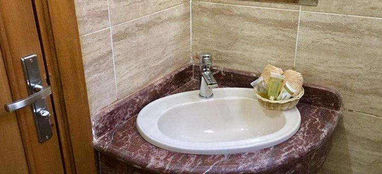 Jewel Howard Carter Hotel Luxor: Foto 