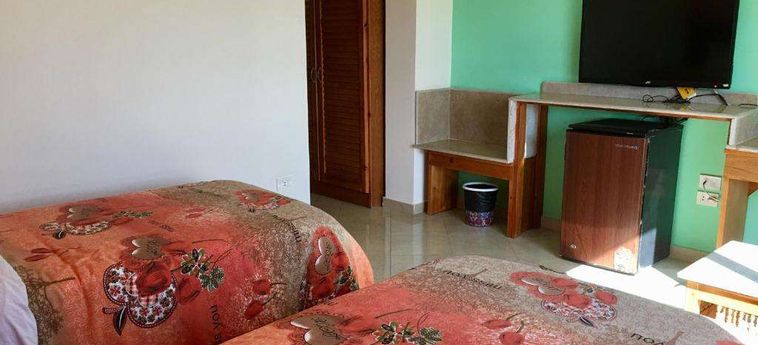 Jewel Howard Carter Hotel Luxor: Foto 