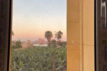 Jewel Howard Carter Hotel Luxor: Photo 