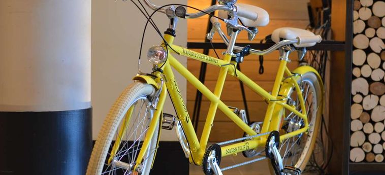 Hotel Doubletree By Hilton Lyon Eurexpo Lyon: Foto 