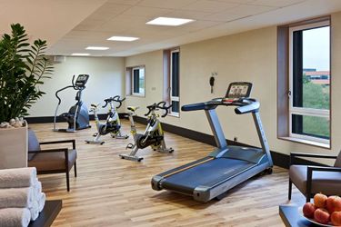 Hotel Doubletree By Hilton Lyon Eurexpo Lyon: Photo 