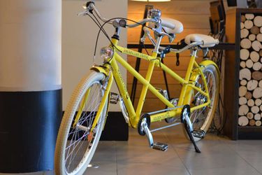 Hotel Doubletree By Hilton Lyon Eurexpo Lyon: Photo 