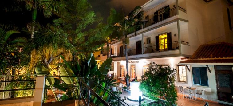 Hotel Flame Tree Madeira:  MADERE
