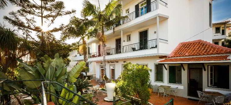 Hotel Residencial Vila Camacho:  MADERE