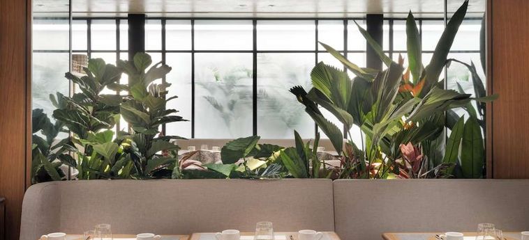 Hotel The Westin Madrid Cuzco  Madrid : Photo 