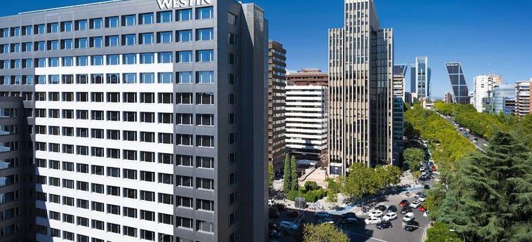 Hotel The Westin Madrid Cuzco  Madrid : Photo 