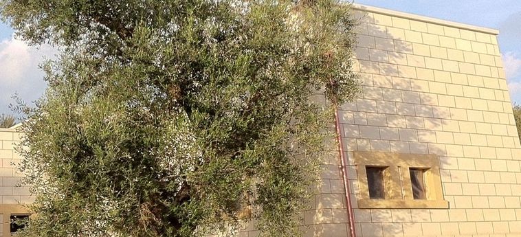 Hotel Relais Masseria Petrusella Maglie - Lecce: Foto 