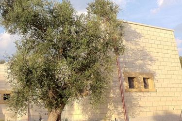 Hotel Relais Masseria Petrusella Maglie - Lecce: Photo 