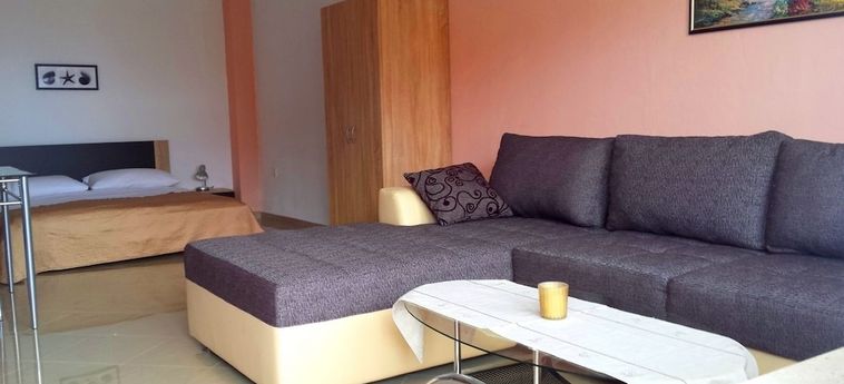Hotel Villa Sara Makarska - Dalmatie : Photo 