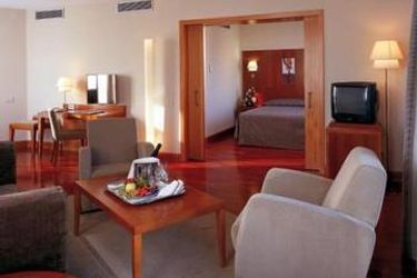 Hotel Nh Malaga:  MALAGA - COSTA DEL SOL
