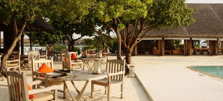 Hotel Como Cocoa Island:  MALDIVAS