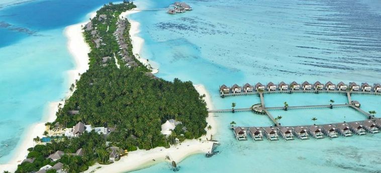 Hotel Niyama Private Islands Maldives:  MALDIVAS