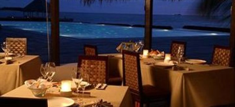 Hotel Coco Bodu Hithi:  MALDIVAS