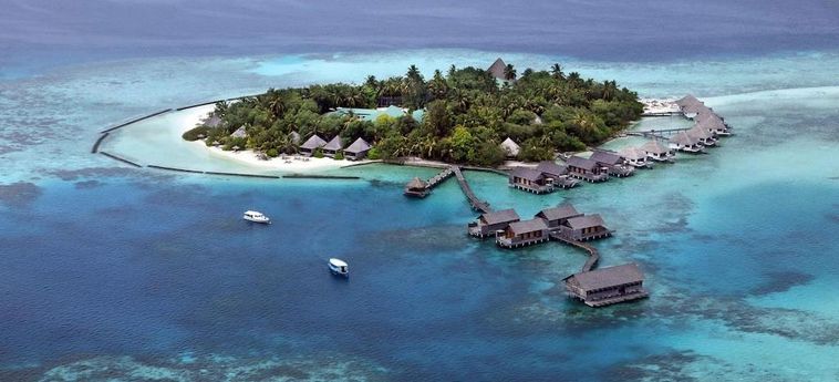 Hotel Gangehi Island Resort & Spa:  MALDIVAS