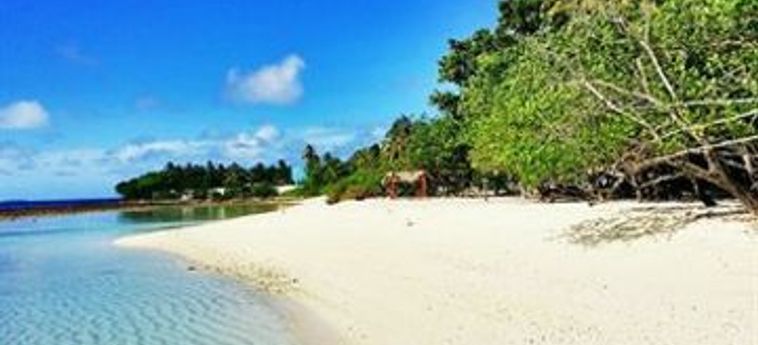 Seahouse Topdeck:  MALDIVAS
