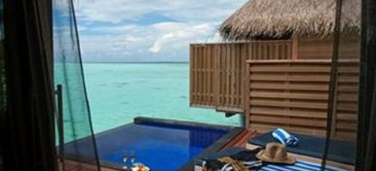 Hotel Sun Siyam Vilu Reef:  MALDIVAS