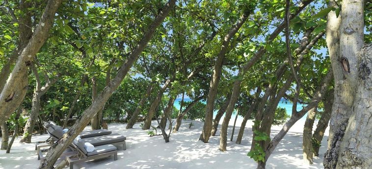 Hotel Vakkaru Maldives:  MALDIVAS