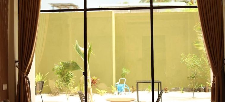 Thoddoo Island Hotel Maldivas: Foto 