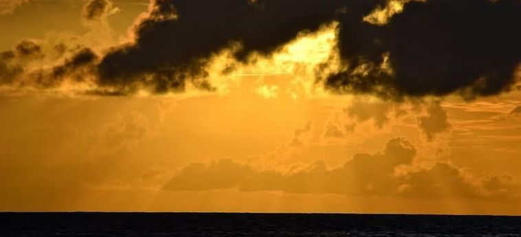 Thoddoo Island Hotel Maldivas: Foto 