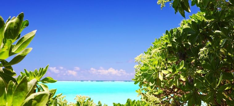 Thoddoo Island Hotel Maldivas: Foto 