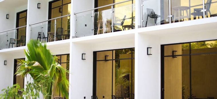 Thoddoo Island Hotel Maldivas: Foto 